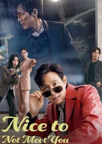 Nice to Not Meet You poster