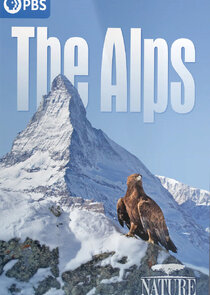 Die Alpen poster