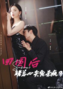 Stunner poster
