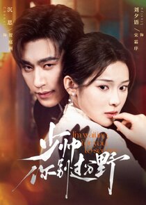 The Fiery Young Marshal poster