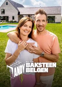 Andy en de Baksteen Belgen poster