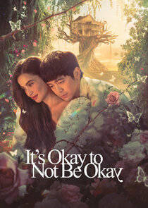 It's Okay to Not Be Okay poster