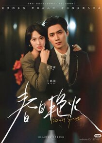 Blazing Spring poster