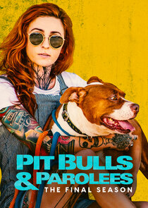 Pit Bulls & Parolees poster