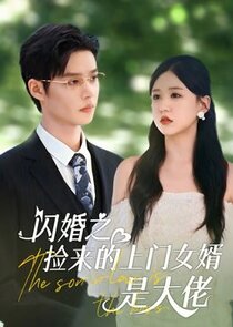 Accidental Noble Husband poster