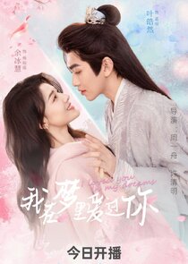 I Loved You in My Dreams poster