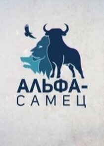 Альфа-самец poster