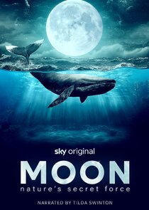 Moon: Nature's Secret Force poster