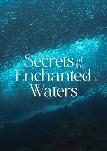 Secrets of the Enchanted Waters poster