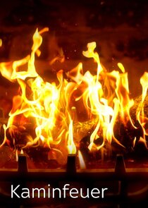 Log Fires poster