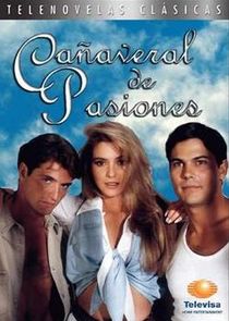 Cañaveral de pasiones poster