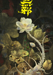 The Lotus Secret poster