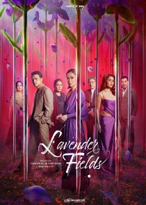 Lavender Fields poster