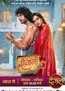 Deewani poster