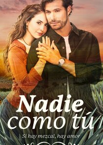 Nadie Como Tú poster