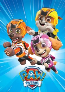 Paw Patrol poster