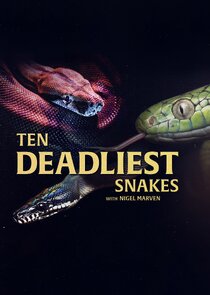 Ten Deadliest Snakes with Nigel Marven poster