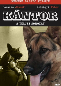 Kántor poster