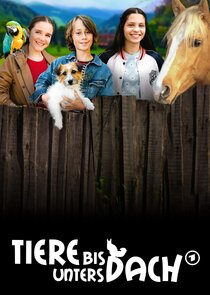 Tiere bis unters Dach poster