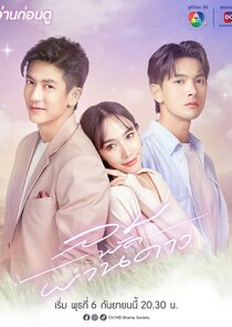 Something in the Wind poster