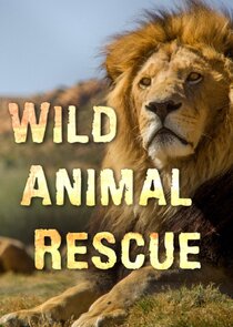 Wild Animal Rescue poster