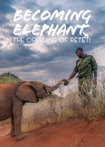 Becoming Elephant: The Orphans Of Reteti poster