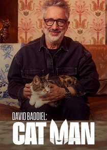 David Baddiel: Cat Man poster