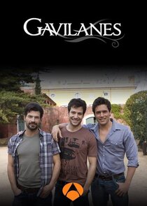 Gavilanes poster