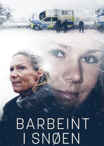 Barbeint i snøen poster