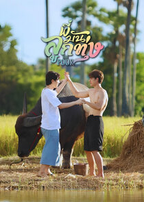 Love Harvest poster