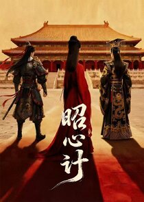 Zhao Xin Ji poster