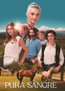 Pura Sangre poster