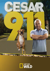 Cesar 911 poster