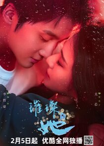 Fall in Love Again poster