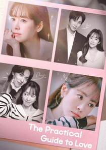 The Practical Guide to Love poster