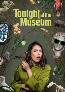 Tonight At The Museum poster