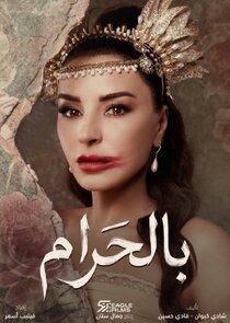 Bil Haram poster