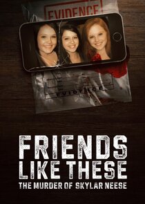 Friends Like These: The Murder of Skylar Neese poster