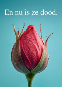 En Nu Is Ze Dood poster