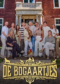 De bogaartjes poster