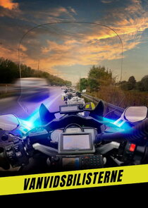 Vanvidsbilisterne poster