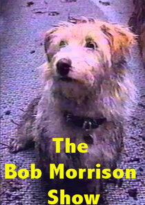 The Bob Morrison Show poster