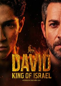 David: King of Israel poster