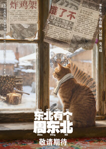 Dongbei's Back poster