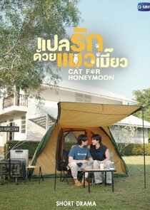 Cat for honeymoon poster