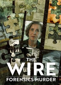 The Wire: Forensics Murder poster