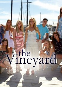 The Vineyard poster