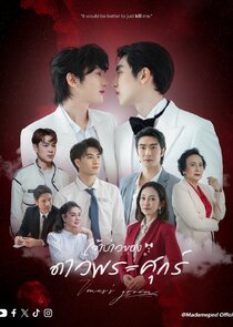 Venus's Groom poster