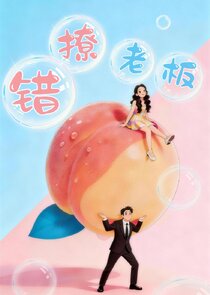 Fall in Love poster