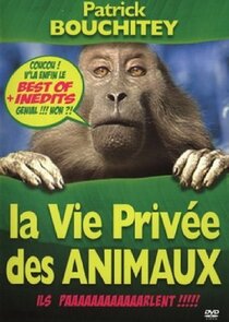 La vie privée des animaux poster